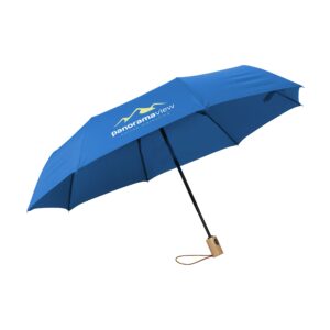 Michigan opvouwbare RPET paraplu 21 inch
