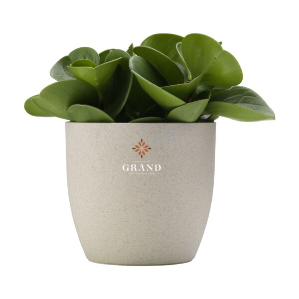 Vibers™ Flowerpot bloempot