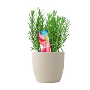 Greencard plantensteker