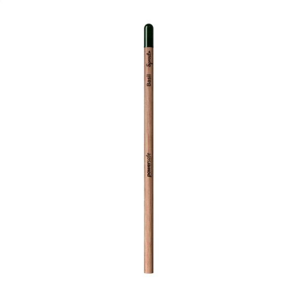 Sprout® Unsharpened Pencil potlood