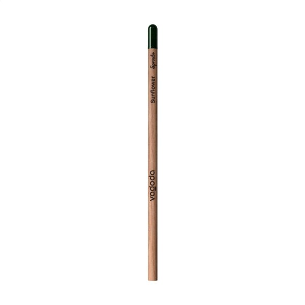 Sprout® Unsharpened Pencil potlood